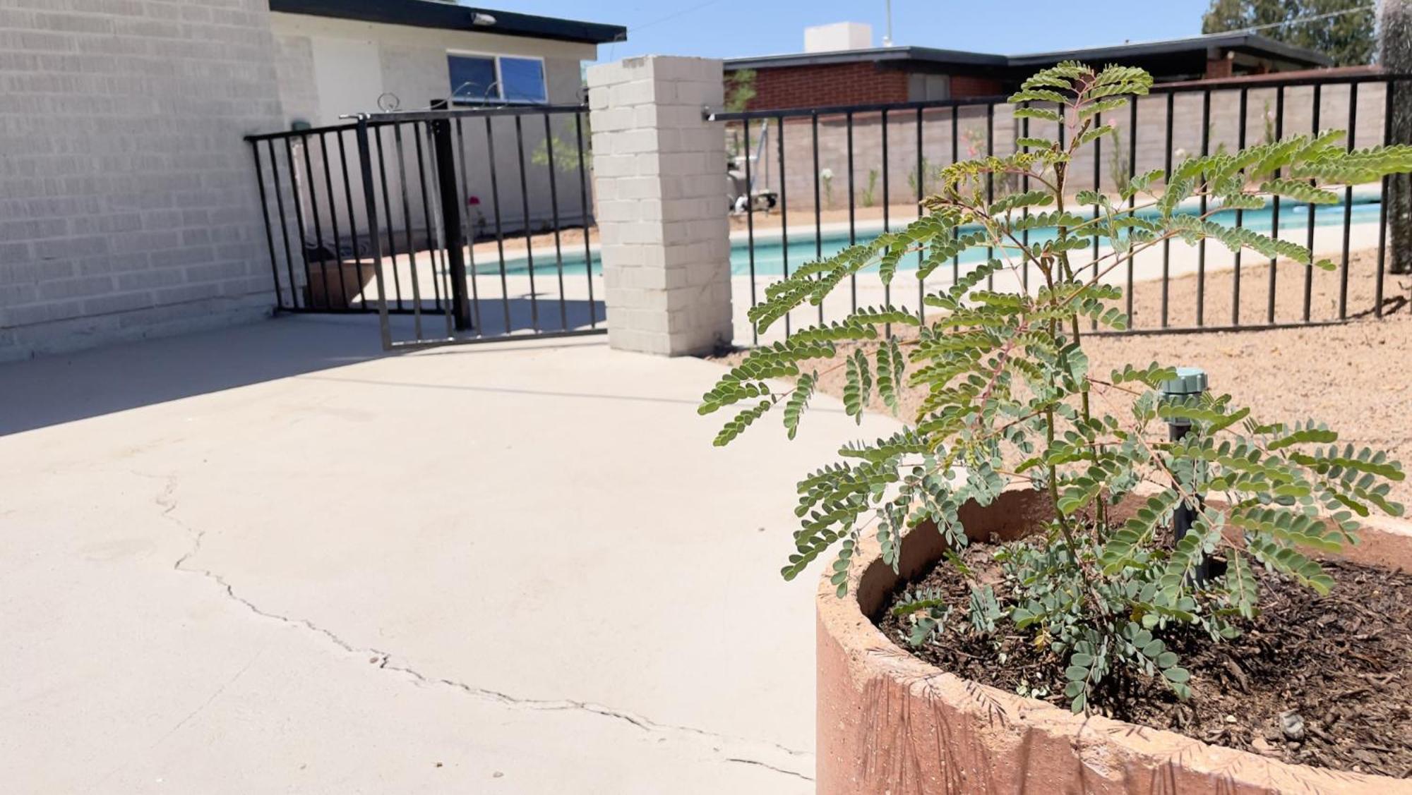 Private Home - Heated Pool, Billiards, Darts, Foosball, Fireplace, 5 Smart Tvs, Bbq, Cotton Bedding - The Saguaro Sanctuary, Pool Heat Optional Tucson Eksteriør billede